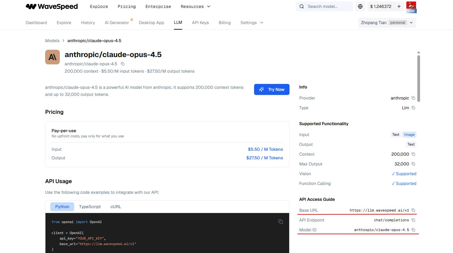 WaveSpeed AI dashboard: API Keys and LLM model list showing Base URL and model ID fields for connecting to Bashige AI Translator